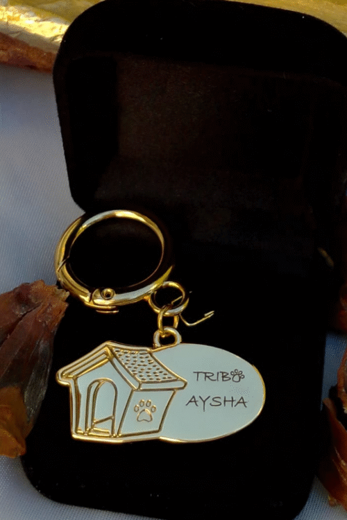 CASINHA COM TELEFONE