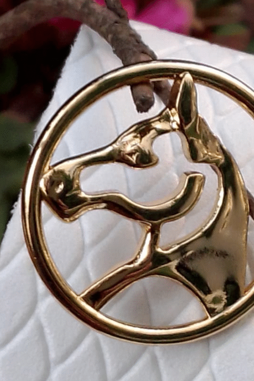 CABEÇA DE CAVALO VAZADA