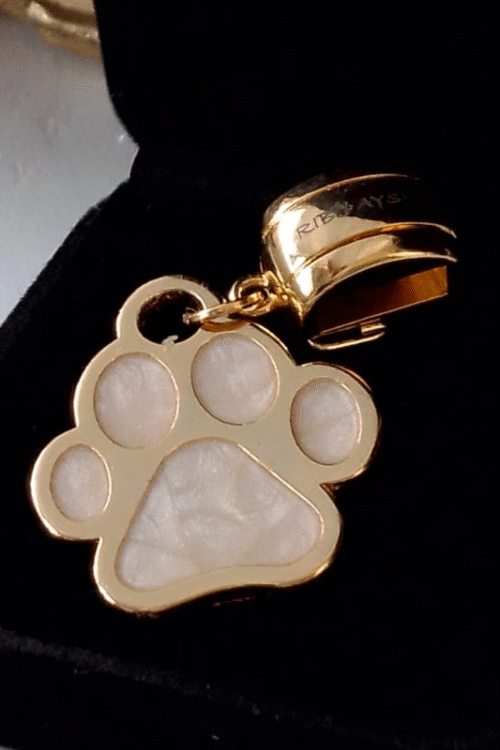 PATINHAS MADREPÉROLA  DUAS FACES