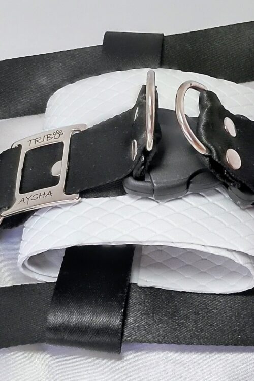 PEITORAL E GUIA PARA CACHORRO - COLEÇÃO NASTRI - MODELO NERA C - G