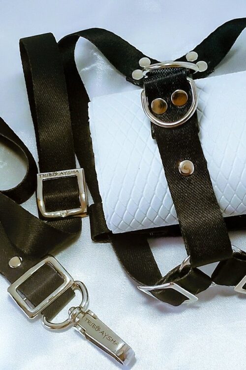 Peitoral e Guia para Cachorro - Coleção Nastri - Modelo Nera C - P